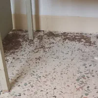 شرکت مبارزه با حشرات و ناقلین سلامت اندیشان طرهان|خدمات نظافت|کوهدشت, |دیوار