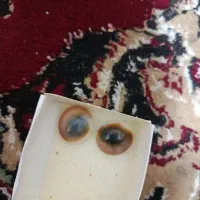 مهره اصل|جواهرات|تربت‌حیدریه, شهرک ولیعصر|دیوار