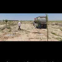 باغ زمین داخل مجتمع نیروانتظامی معاوضه با ماشین|فروش زمین و ملک کلنگی|مشهد, کلاکوب|دیوار