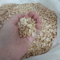 بادام زمینی درجه ۱