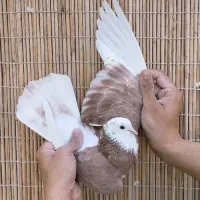 ماده گلی زرد