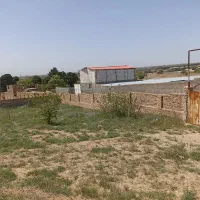 زمین-کشمیری-87