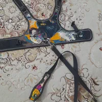 لوازم برای حیوان خانگی سگ