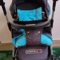 کالسکه نو دلیجان