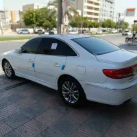 آزرا سفید صدفی ۲۰۱۱