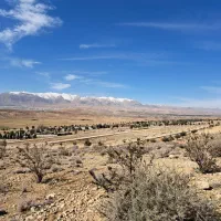 زمین قصر سبز