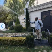 سمپاشی گلها ودرختان کلیه کارهای باغبانی