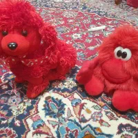 کیف و کفش وکلی وسایل|کیف، کفش، کمربند|تبریز, |دیوار