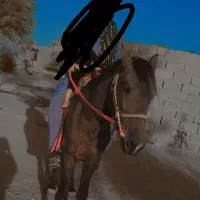 اسب نریان درشور