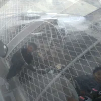 پراید ۱۳۱|خودرو سواری و وانت|درمیان, |دیوار