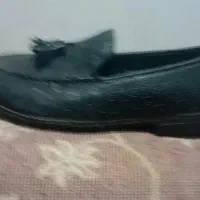 کفش کالج مجلسی واسپرت|کیف، کفش، کمربند|اهواز, کیانپارس |دیوار