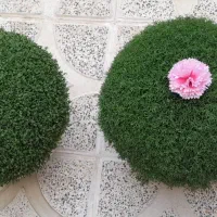 سبزه|خدمات باغبانی و درختکاری|الشتر, |دیوار