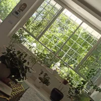 ویلایی مبله شهر بزنجان یک ساله|اجارهٔ خانه و ویلا|بافت, |دیوار