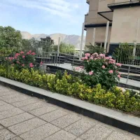 ۱۲۰مترآپارتمان دلبازسندتک برگ/بدنسازی/متری۵۳قطعی|فروش آپارتمان|تهران, مروارید شهر|دیوار