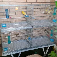 قفس حرفه ای