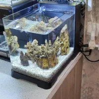 اکواریوم خاص و جذاب شرکتی دلسا b102 ساید سامپ