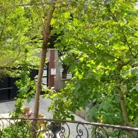 پاسداران-اختیاریه-100متر-کلنگی