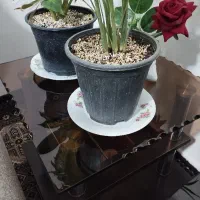 مبل|مبلمان خانگی و میز عسلی|باقرشهر, |دیوار