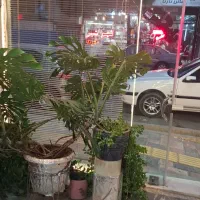 رهن و اجاره مغازههای بالای 70 متری