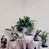 استند گلدان ۷ شاخه لوکس