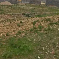 زمین