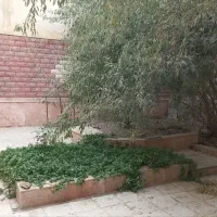 سلام‌ودرودویلایی دربست