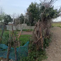 زمین مسکونی ویو ابدی|فروش زمین و ملک کلنگی|ماکلوان, |دیوار