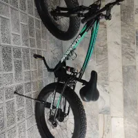 دوچرخه ساحلی لاستیک پهن