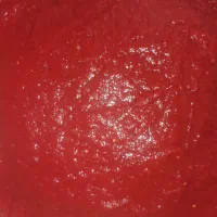 رب گوجه درجه یک بدون دانه