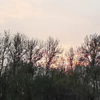 ویلا-دهکده1200متری