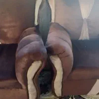مبل کاملا سالم