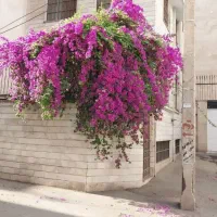 ۵۰ متر زیر همکف بازسازی شده