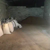 کود گوسفندی بصورت نیسانی...کیسه ای