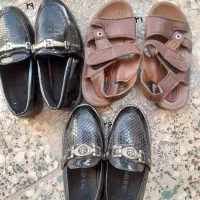 ۶جفت کفش باهم|کیف، کفش، کمربند|حمیدیا, |دیوار