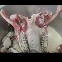 دو‌عدد‌کله‌پاچه‌