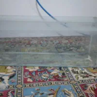 اکواریوم|ماهی|ابریشم, |دیوار