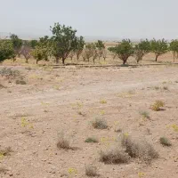 سلام خدمت دوستان عزیز فروش فوری ملک کشاورزی