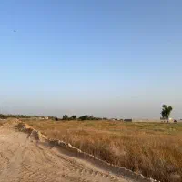 زمین-باغشهری