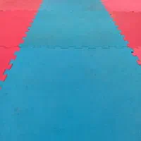 جذب مربی ورزشی خانم
