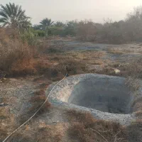 فروش نیم هکتار باغ و زمین کشاورزی رودان برنطین|فروش زمین و ملک کلنگی|رودان, |دیوار