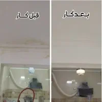 رنگ کاری ،نقاشی ساختمان،درب،پنجره،|خدمات پیشه و مهارت|اهواز, زیتون کارمندی|دیوار