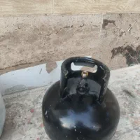 دوعدد پیکنیک