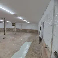 رهن و اجاره زیرزمین ۱۵۰ متر|اجارهٔ مغازه و غرفه|مشهد, هنرور|دیوار