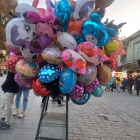 به یک شاگرد ساده نیاز مندیم