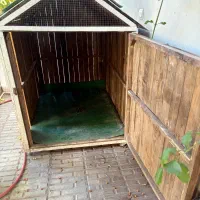 قفس|لوازم جانبی حیوانات|بم, |دیوار