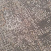 فرش|فرش|تهران, دهقان|دیوار