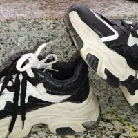 چندجفت کفش درحدنونونوسایز 40|کیف، کفش، کمربند|بیرجند, |دیوار