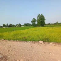 فروش زمین تمام مسکونی روستایی با استعلام بروز|فروش زمین و ملک کلنگی|لاهیجان, لیالستان|دیوار