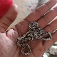 زنجیر نقره خارجی|جواهرات|بندرعباس, |دیوار