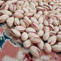 پسته احمد آقایی و فندقی|خوردنی و آشامیدنی|تهران, شهرآرا|دیوار